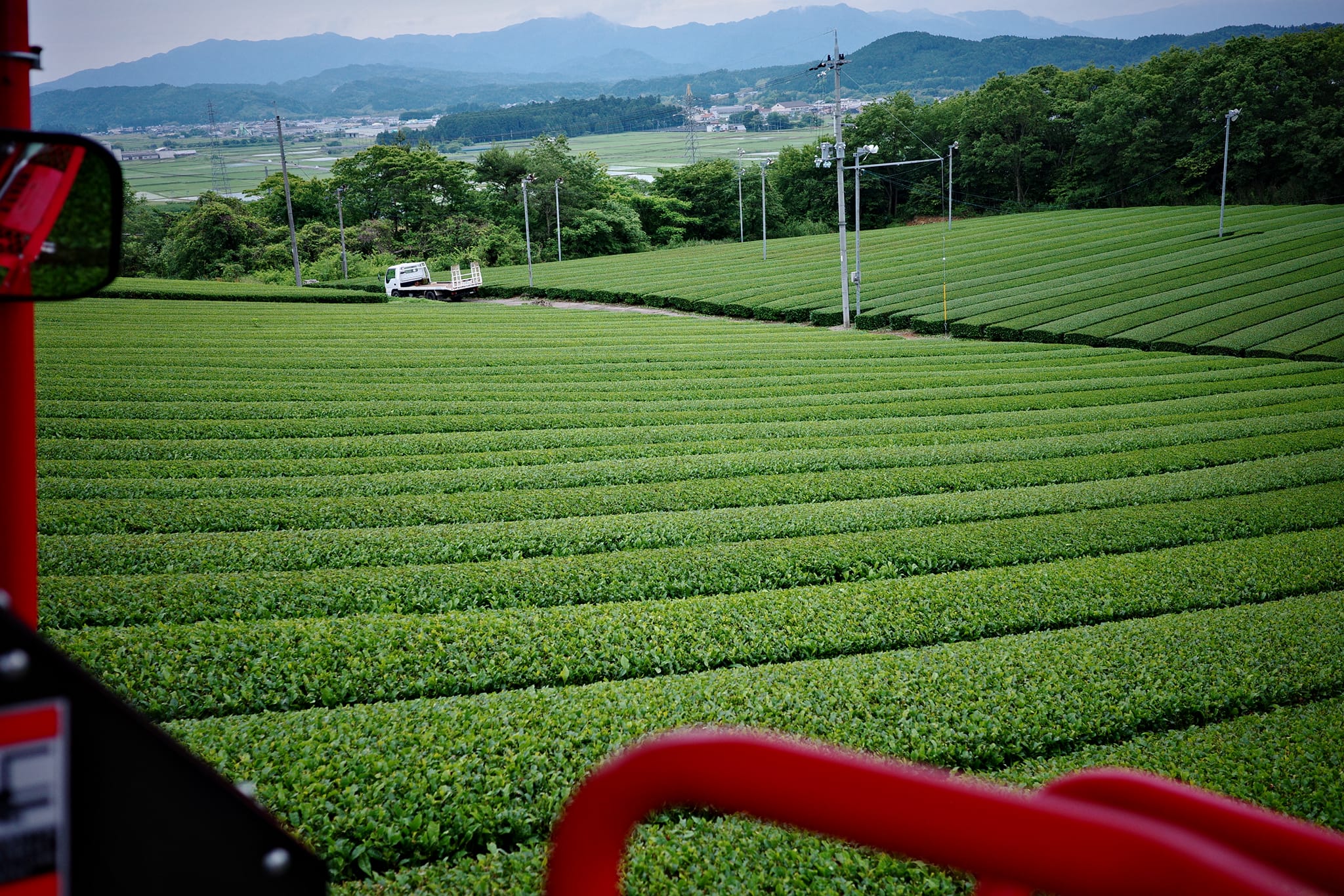 Nakamura koshun nagydíjas japán fekete tea