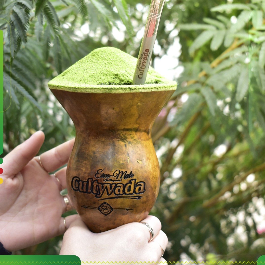 cultívada brazil mate tea