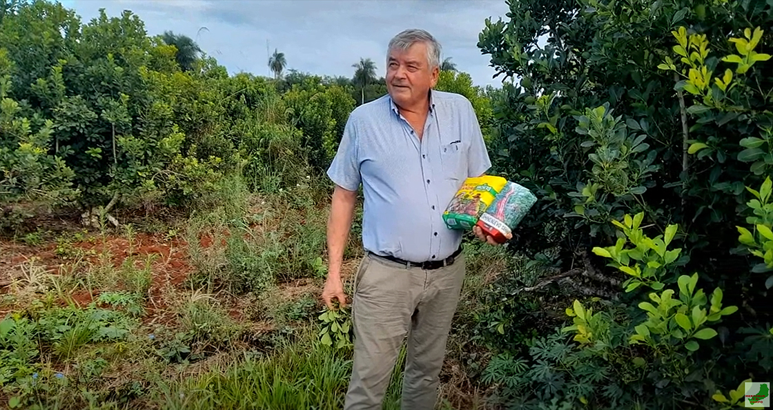 el hachero yerba mate tea