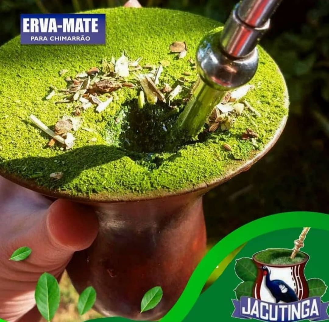 jacutinga erva mate tea