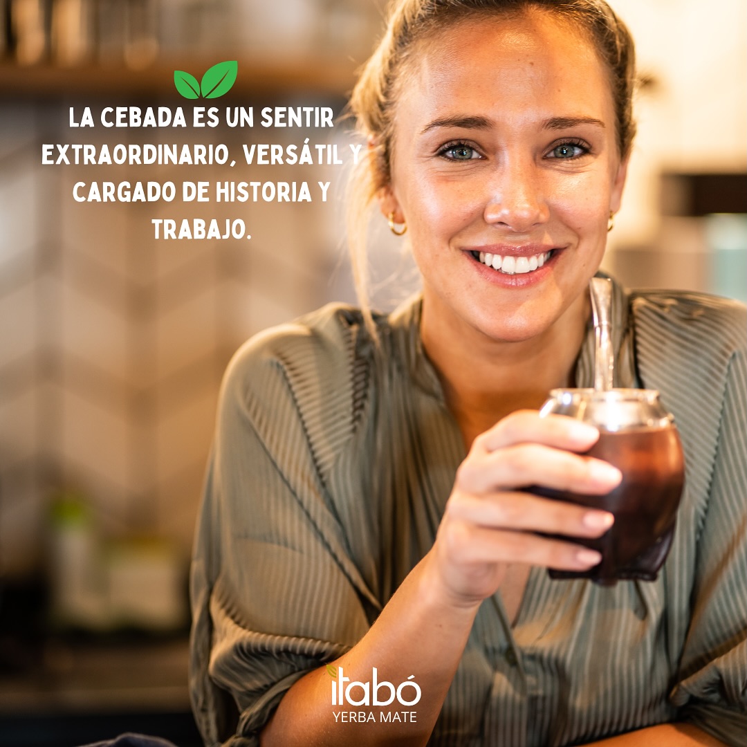 yerba mate itabo bio mate tea