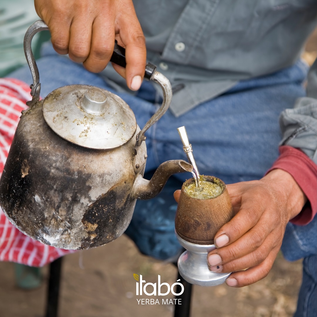 yerba mate itabo bio mate tea