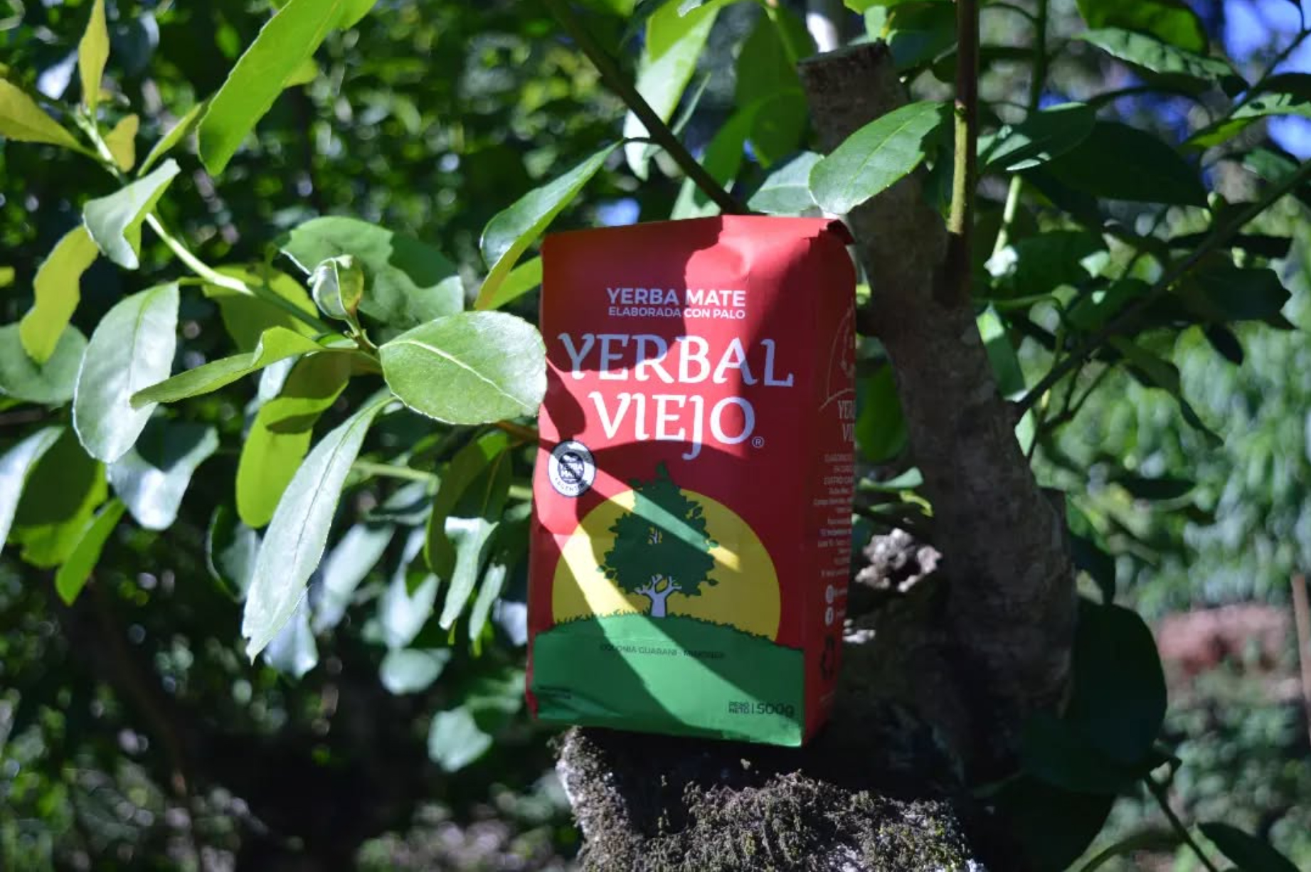 Yerbal Vieja