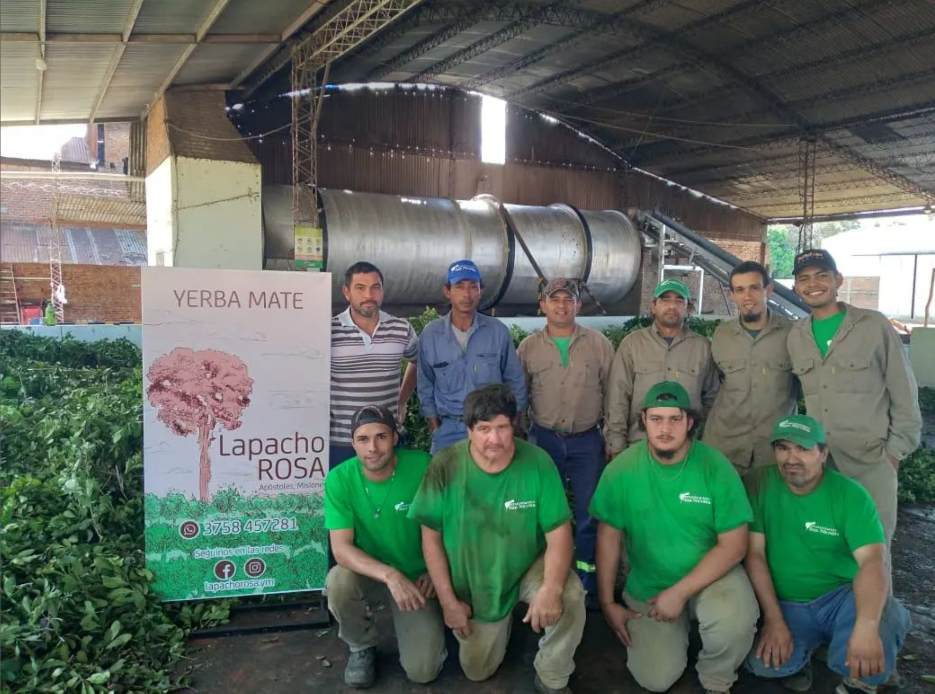 yerba mate lapacho rosa mate tea