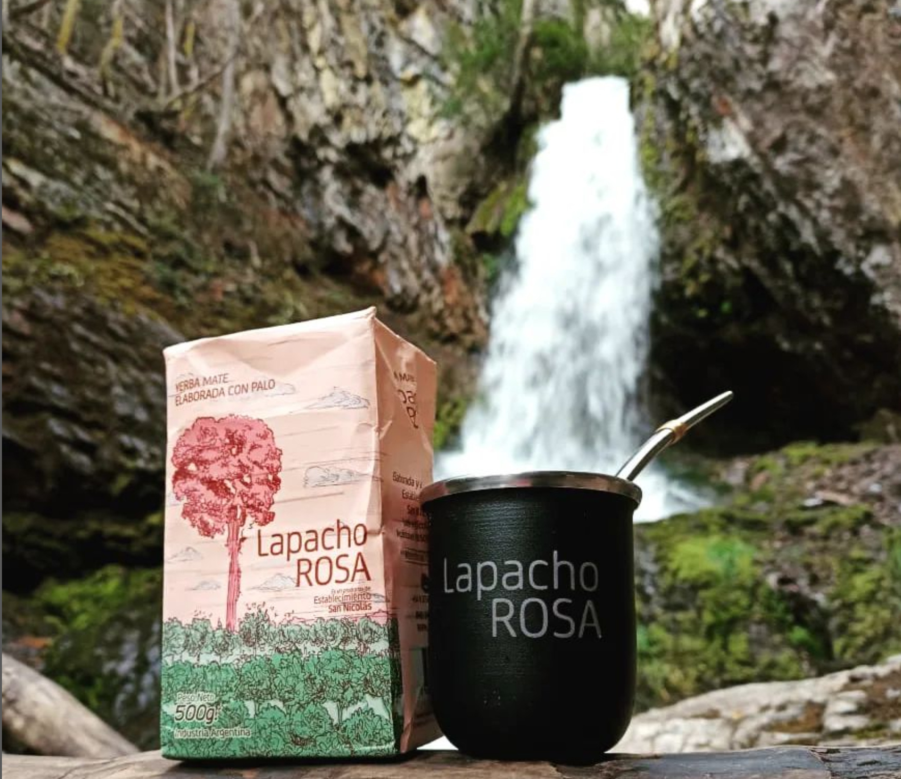 yerba mate lapacho rosa mate tea