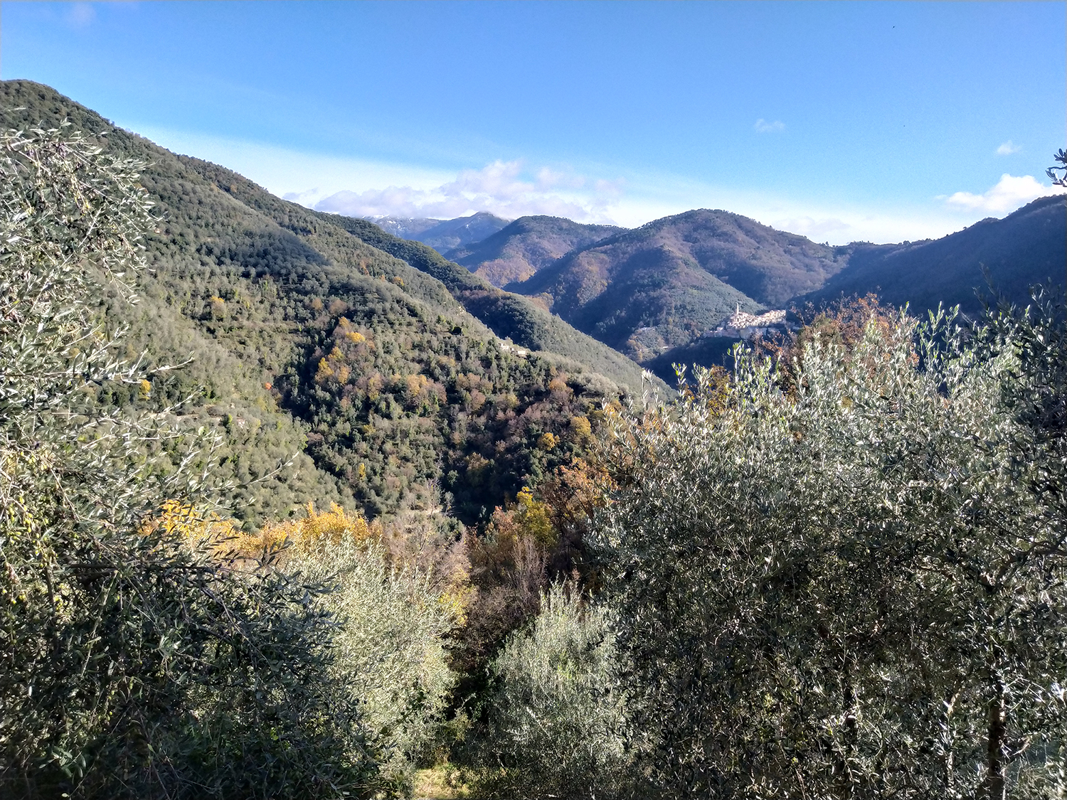 extraszűz olivaolaj liguria rio carne