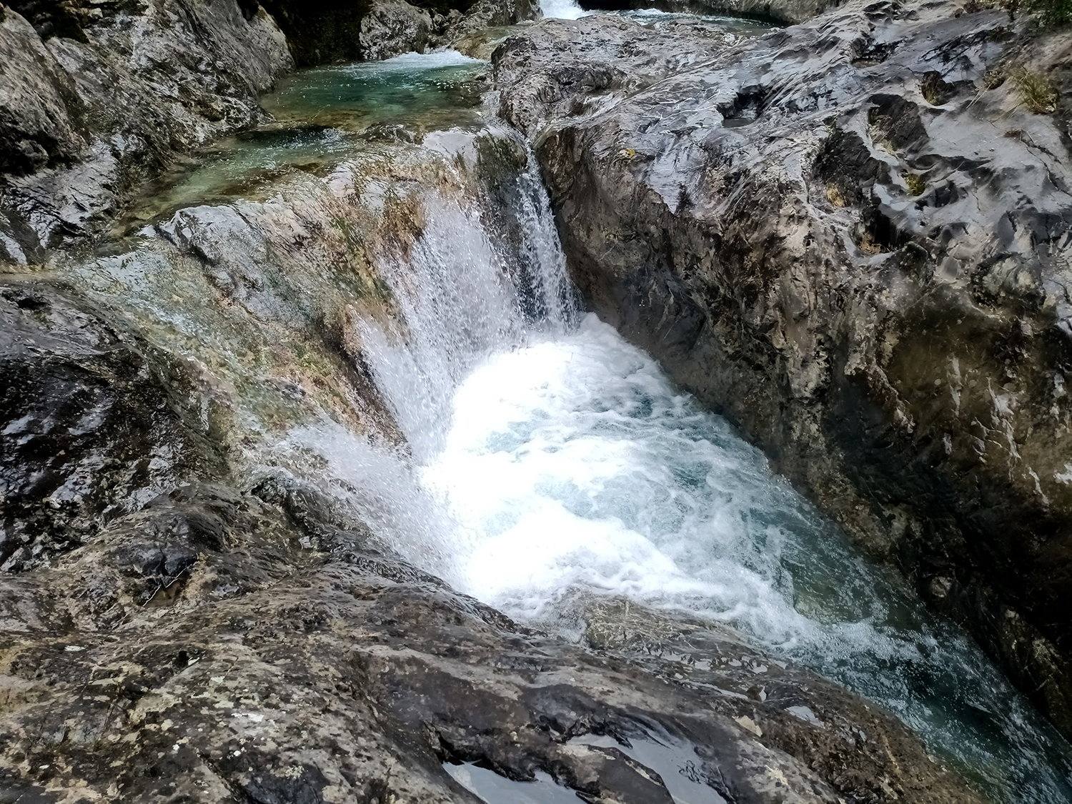 extraszűz olivaolaj liguria rio carne