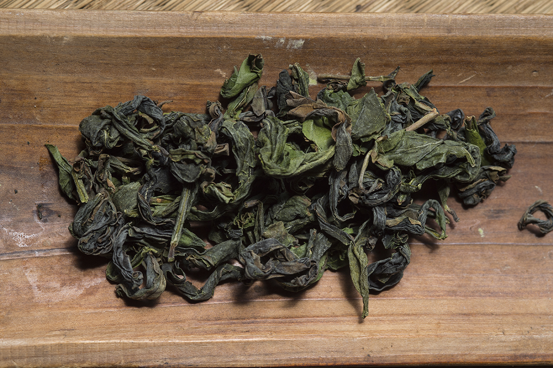 japán oolong tea sayaka minami