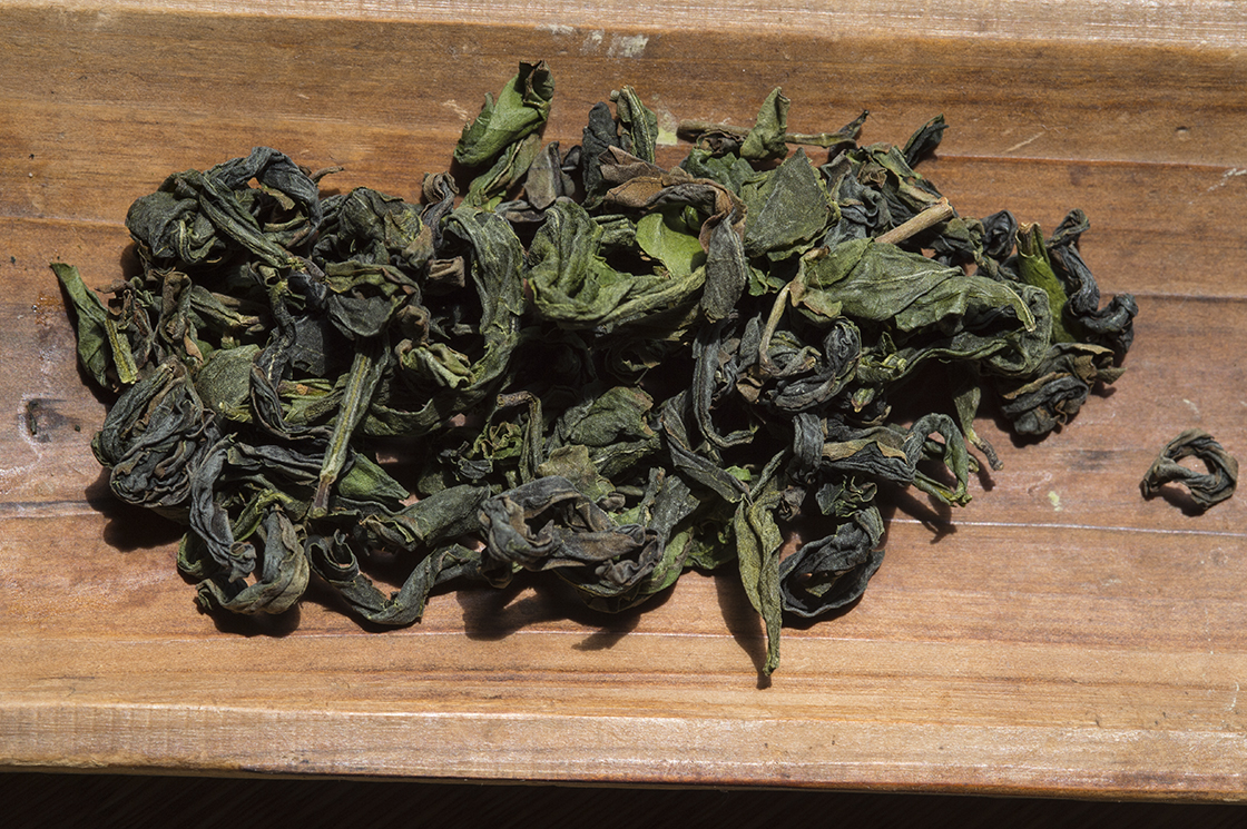 japán oolong tea sayaka minami