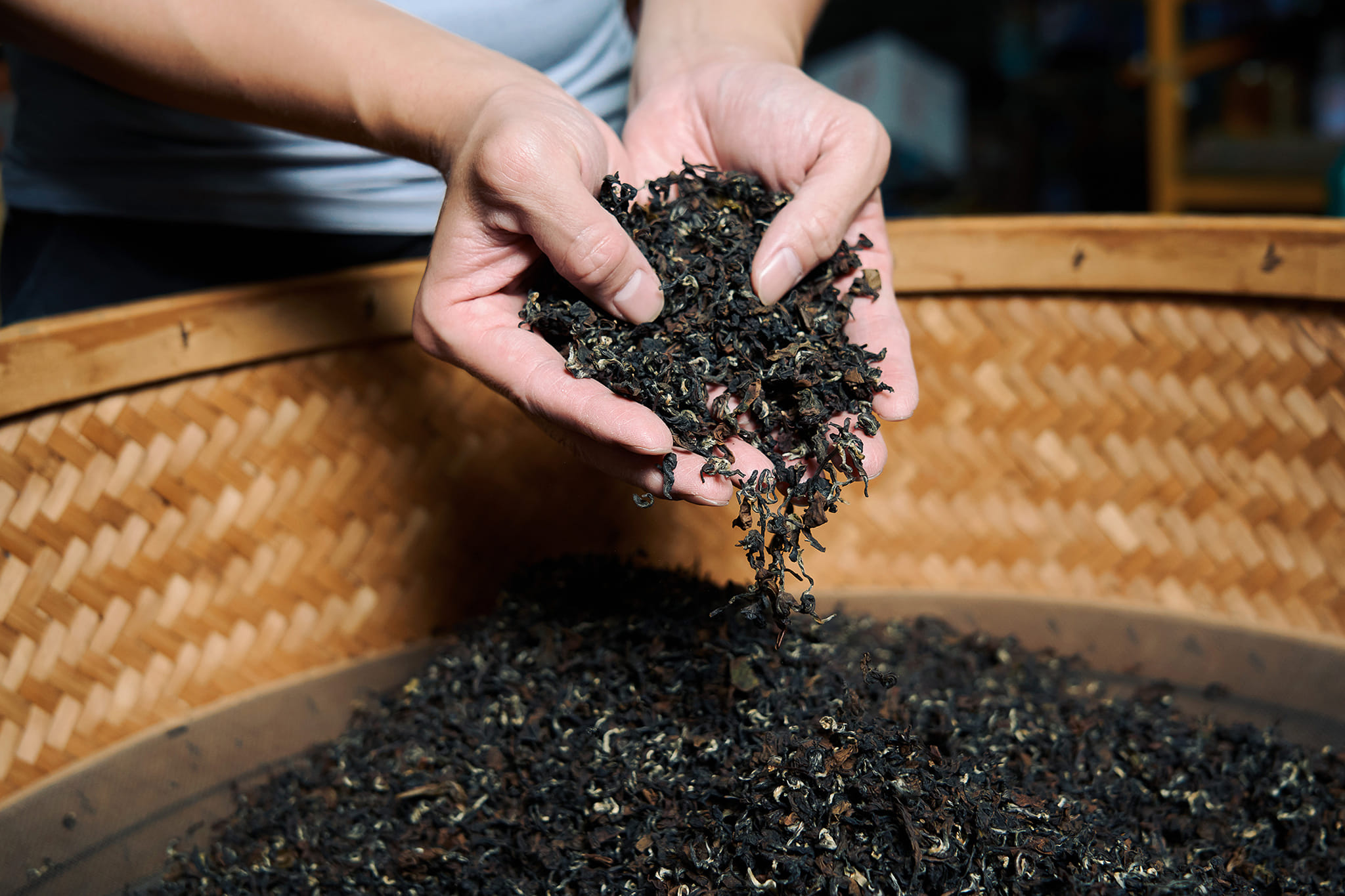 dong fang mei ren oriental beauty zhang jiaqi oolong tea 