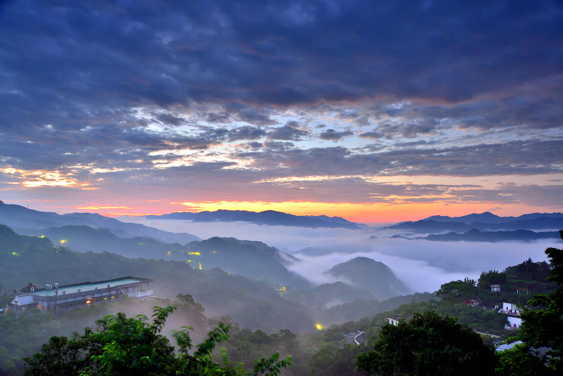 文山 包种 茶 Wenshan Baozhong Tea 2024 New Taipei Good Tea 