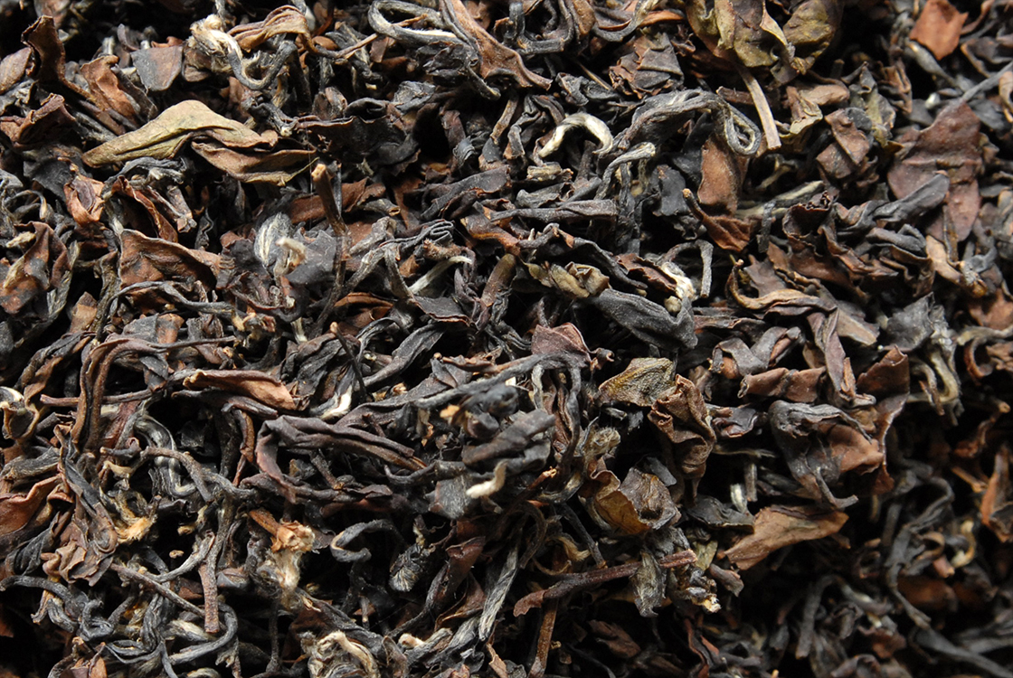 oriental beauty winter oolong