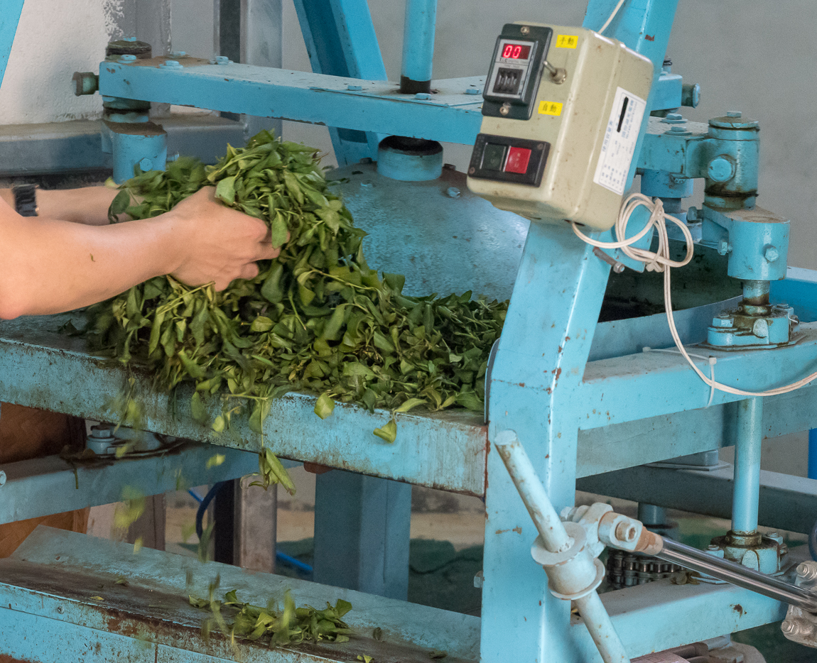 Wenshan Baozhong tajvani díjnyertes oolong tea