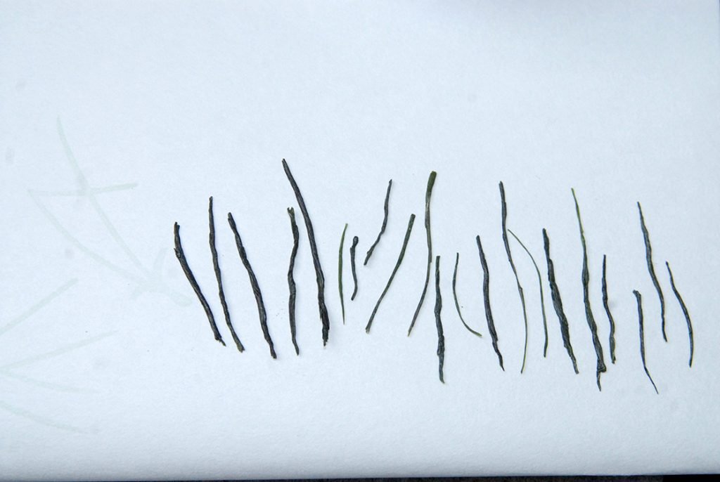 Gyokuro Chitose no Homare szuper prémium gyokuro tea