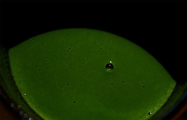 Matcha Shoun no Mukashi 40 gr