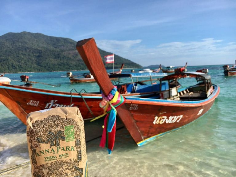 anna-park-yerba-mate