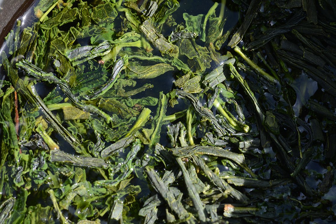 asamiya sencha zairai 300 éves anya teafa