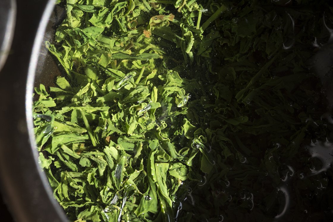 asamiya shuppin sencha