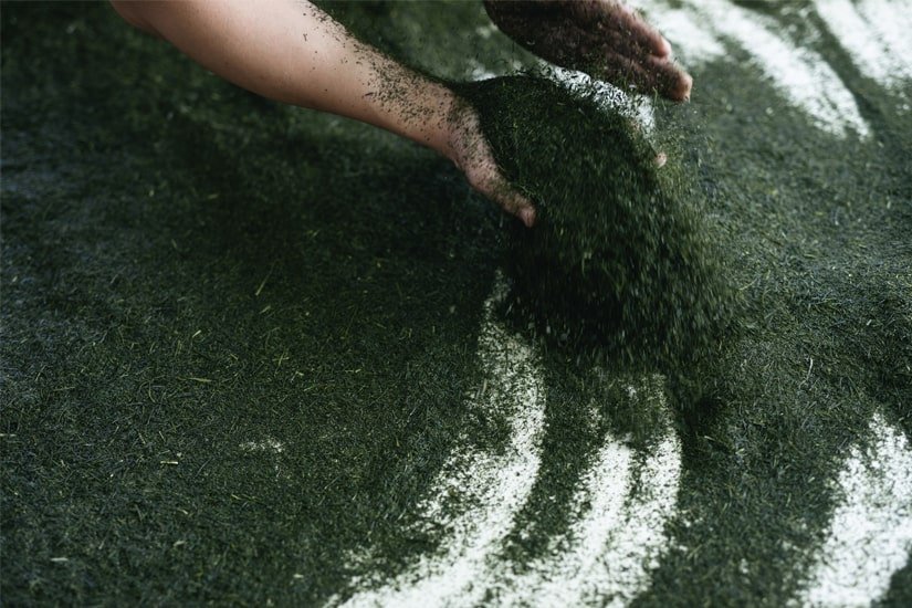 Sencha Fuyu no Hana faszenes sencha japán tea 