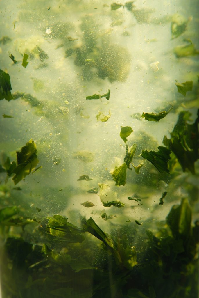 Gyokuro shiun bíbor felhők japán zöld tea