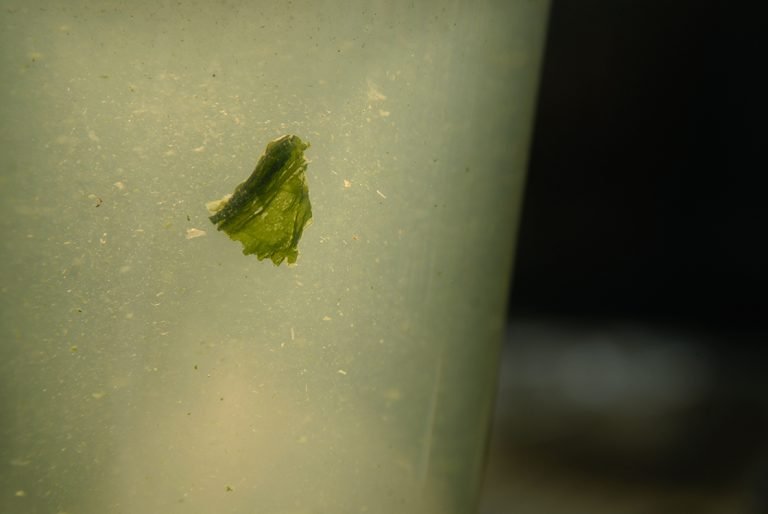 Gyokuro shiun bíbor felhők japán zöld tea