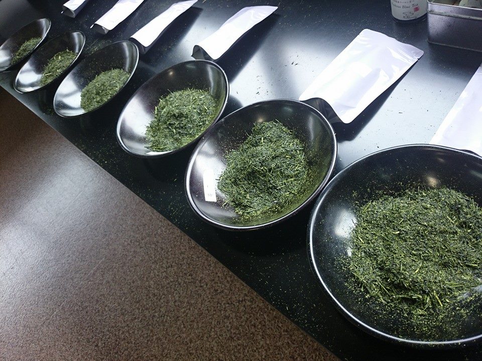 Hoshino Dento hon gyokuro szemle