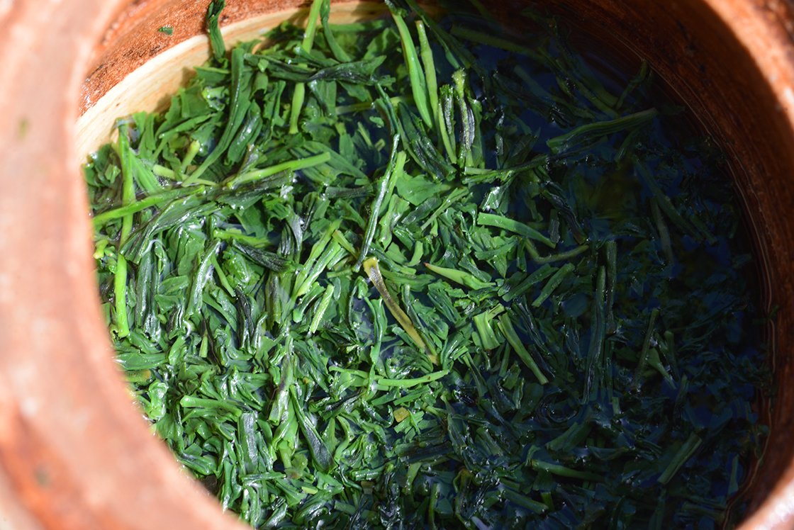 Hoshino Dento hon gyokuro