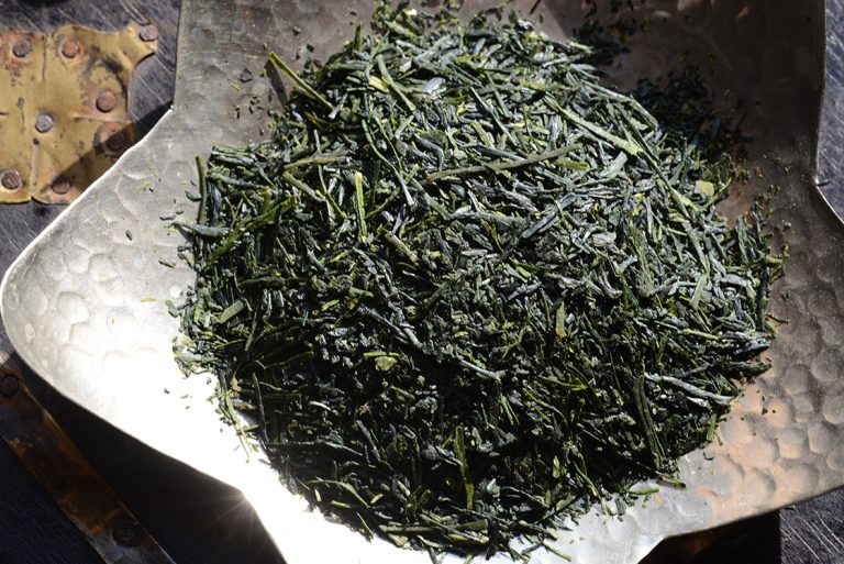Hoshino Sencha Kiri