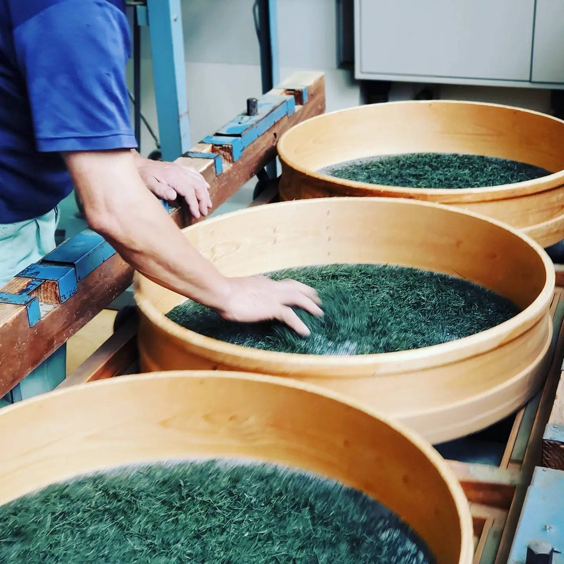 Sencha Fuyu no Hana faszenes sencha japán tea 