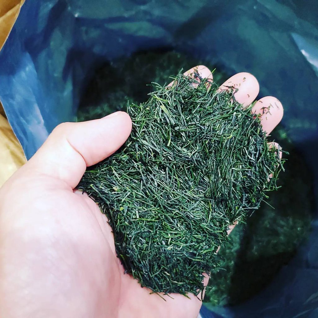 Hoshitea kiwami gyokuro