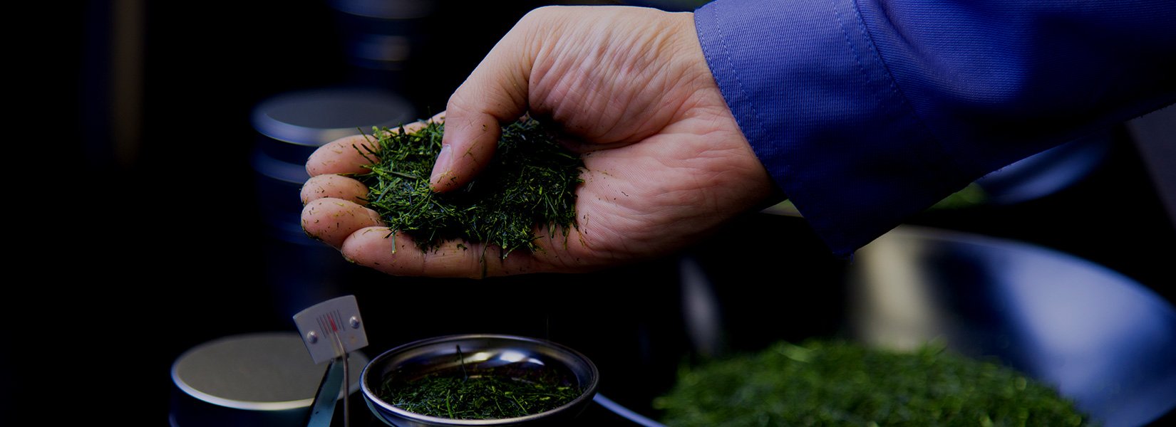 Régimódi tiszta sencha