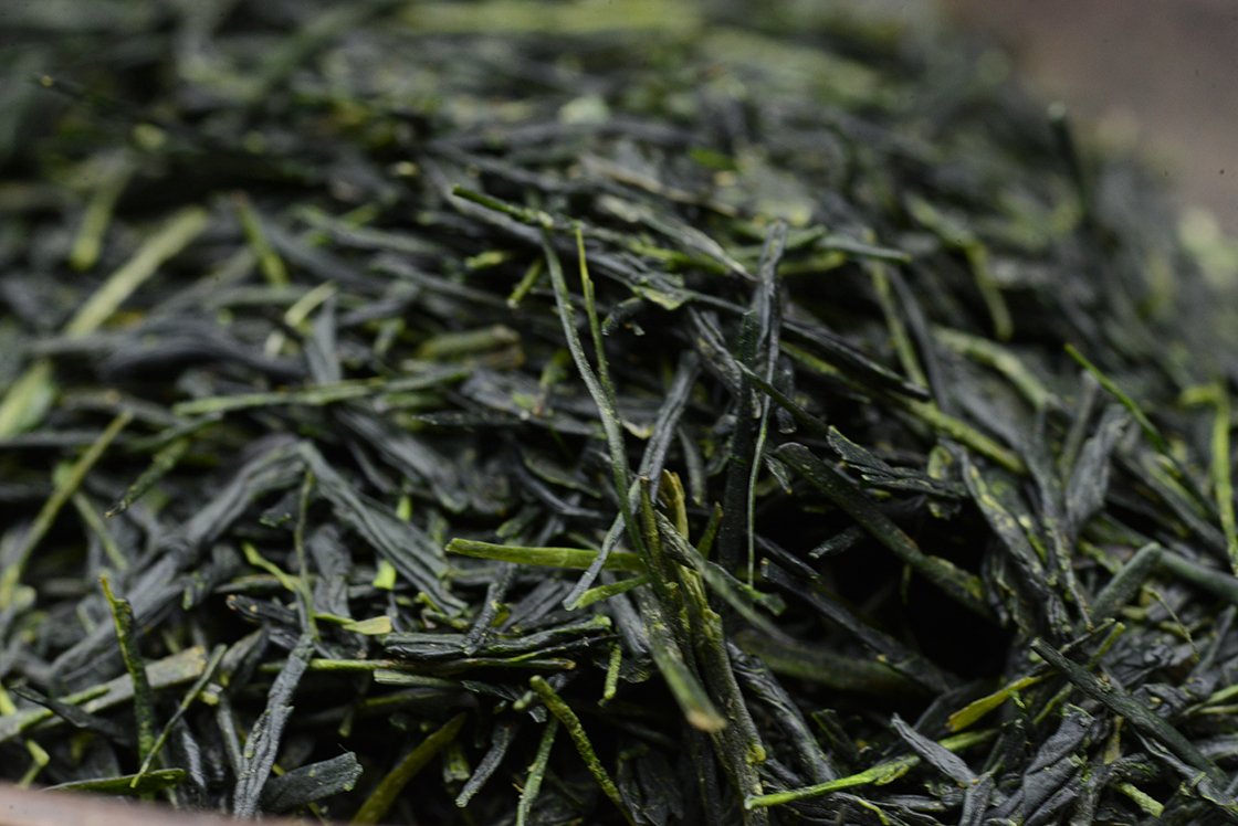 Kirishima Saemidori gyokuro