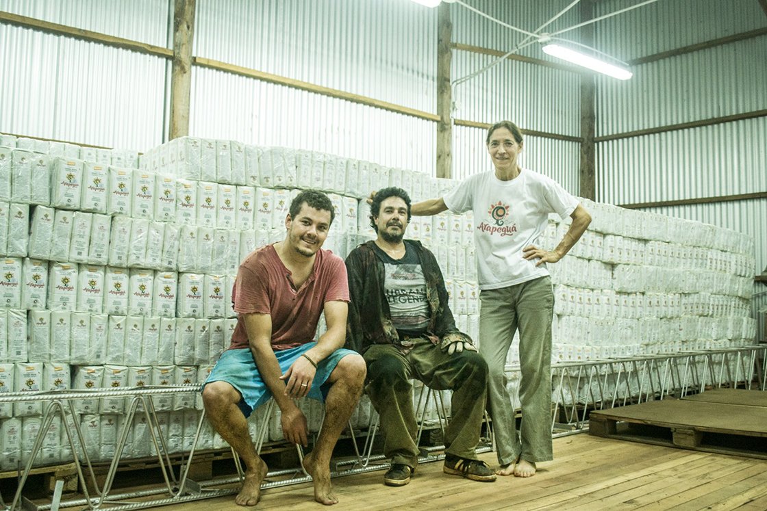 teautja-yerba-mate-arapegua.