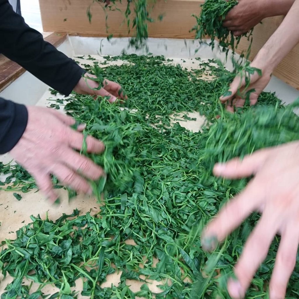 伝統本玉露 dento hon gyokuro