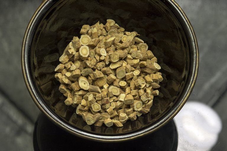 Asztragálusz avagy kínai csűdfű