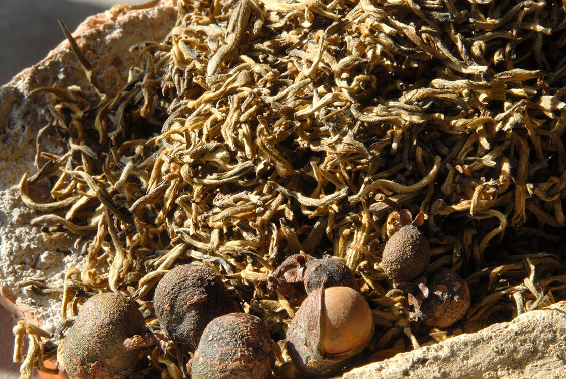 Gao Ji Li Cha - A legnemesebb tea Yunnani aranyvörös