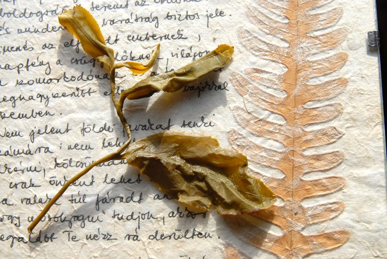 Cui Yu Jádezöld oolong