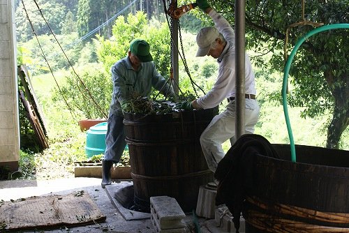Gosihi cha japán posztfermentált tea 碁石茶