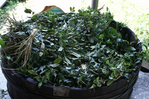 Gosihi cha japán posztfermentált tea 碁石茶