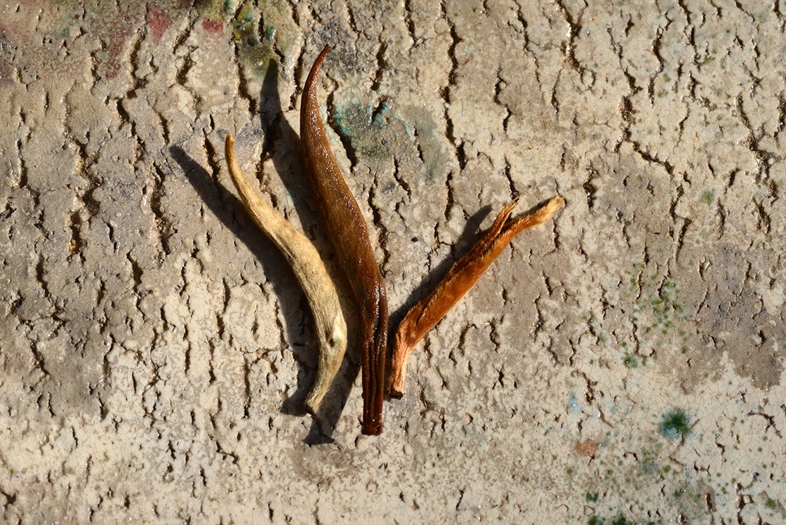 Dian Hong Da Yin Ya fekete rügytea