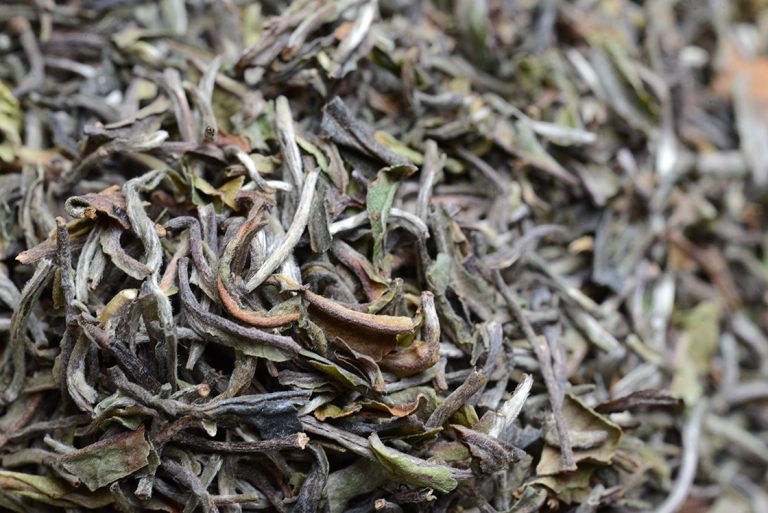 Darjeeling Rohini Tippy First Flush FTGFOP1