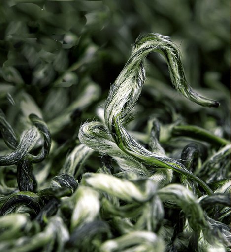 Pre Qing Ming Duyun Mao Jian