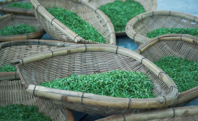 Duyun Mao Jian kínai zöld tea