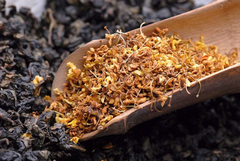 Édes osmanthus - Osmanthus fragrans