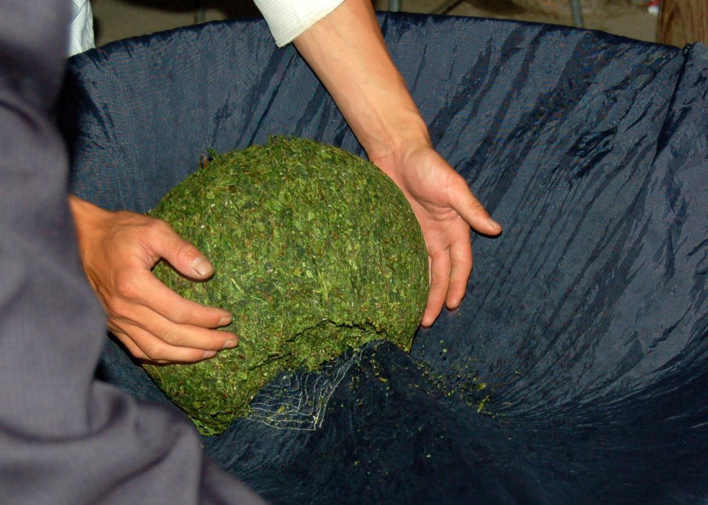 anxi tieguan yin oolong tea