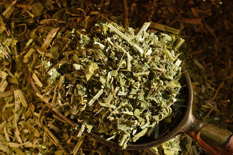 Golgotavirág (Passiflora incarnata L.)