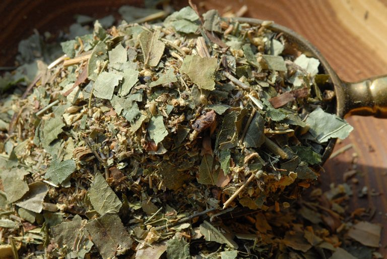 Gyöngyvessző, réti legyezőfű