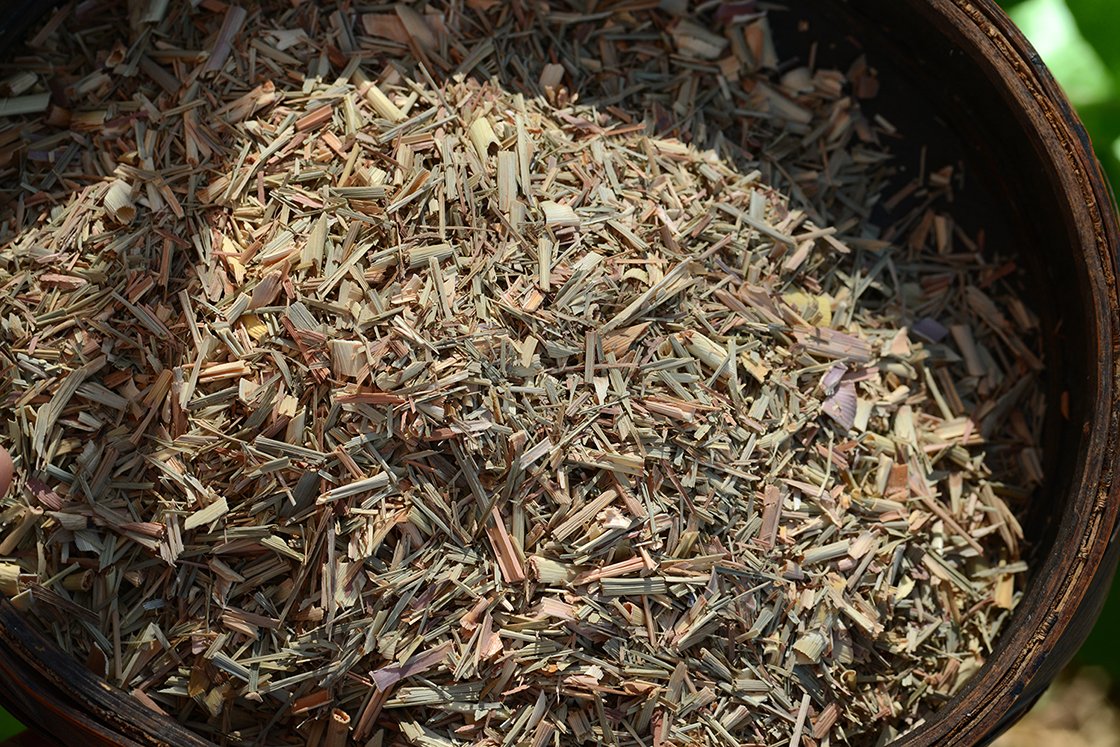 Indiai citromfű - Cymbopogon citratus