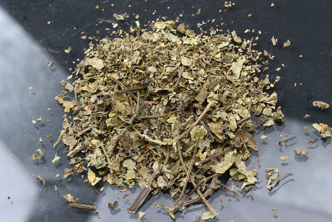 Jávai tea, vesetea orthosiphon-stamineus