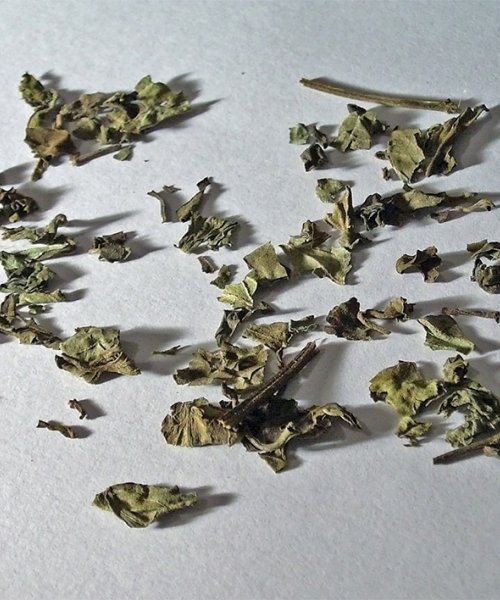 Jávai tea, vesetea orthosiphon-stamineus